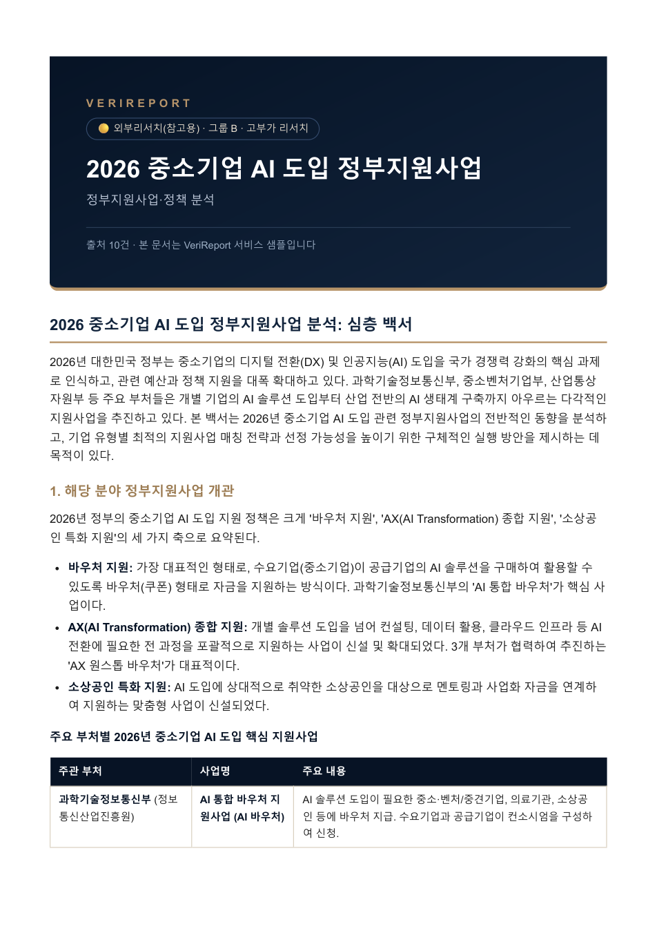 정부지원사업·정책 분석 샘플 커버